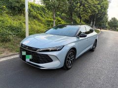 BYD Qin L DM-i 120KM Leading Edition - ფოტო 1