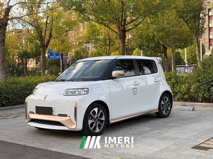 ORA White Cat 2022 Little Wildcat 360km Luxury Ternary Lithium - ავტომობილი ჩინეთიდან