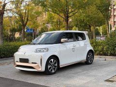 ORA White Cat 2022 Little Wildcat 360km Luxury Ternary Lithium - ფოტო 1