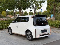 ORA White Cat 2022 Little Wildcat 360km Luxury Ternary Lithium - ფოტო 10