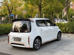 ORA White Cat 2022 Little Wildcat 360km Luxury Ternary Lithium - ფოტო 11