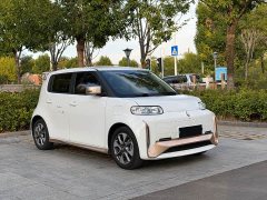 ORA White Cat 2022 Little Wildcat 360km Luxury Ternary Lithium - ფოტო 2