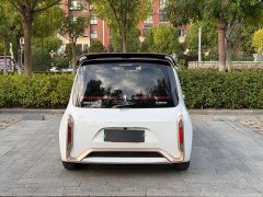 ORA White Cat 2022 Little Wildcat 360km Luxury Ternary Lithium - ფოტო 9