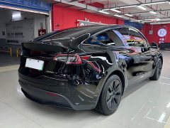 Tesla Model Y Rear-Wheel Drive - ფოტო 10