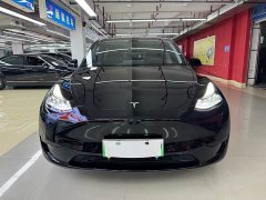 Tesla Model Y Rear-Wheel Drive - ფოტო 2