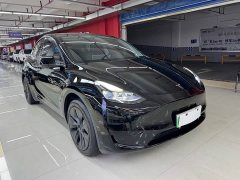 Tesla Model Y Rear-Wheel Drive - ფოტო 3