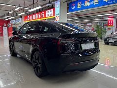 Tesla Model Y Rear-Wheel Drive - ფოტო 9