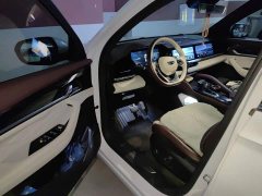 Geely Xingyue L 2.0TD DCT EVO FWD Luxury - ფოტო 12