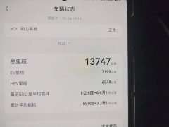 BYD Song L DM-i Smart Drive 112km Exceed - ფოტო 13