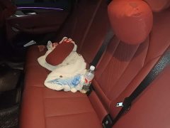 BMW X3 2022 Facelift xDrive30i Leading Edition M Night Package - ფოტო 13