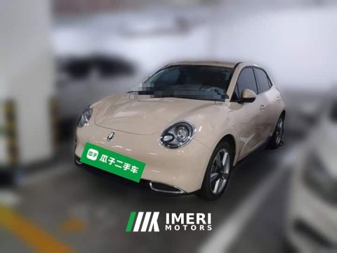 2023 ORA Good Cat 401km Standard Range Luxury LFP - ავტომობილი ჩინეთიდან