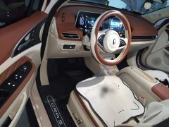 ORA Good Cat 401km Standard Range Luxury LFP - ფოტო 12
