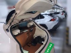 ORA Good Cat 401km Standard Range Luxury LFP - ფოტო 15