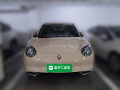 ORA Good Cat 401km Standard Range Luxury LFP - ფოტო 2