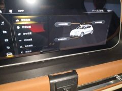 ORA Good Cat 401km Standard Range Luxury LFP - ფოტო 20
