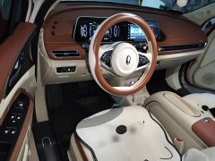 ORA Good Cat 401km Standard Range Luxury LFP - ფოტო 5