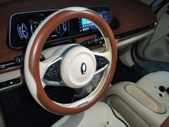 ORA Good Cat 401km Standard Range Luxury LFP - ფოტო 6
