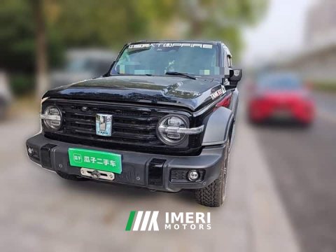 2021 Tank 300 Off-Road Edition 2.0T Conqueror - ავტომობილი ჩინეთიდან
