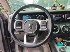 Tank 300 Off-Road Edition 2.0T Conqueror - ფოტო 6