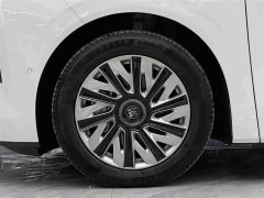 Buick Zhijing Shijia Luxury Edition - ფოტო 4