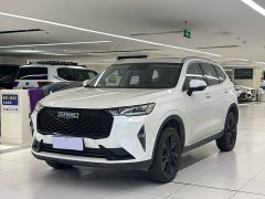 Haval H6 2021 Third Generation 2.0T Automatic Two-Wheel Drive Max - ფოტო 1