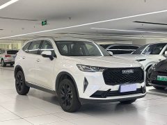 Haval H6 2021 Third Generation 2.0T Automatic Two-Wheel Drive Max - ფოტო 3