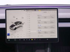 Tesla Model 3 2023 Rear-Wheel Drive - ფოტო 20