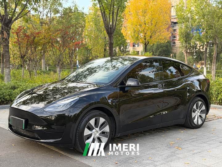 Tesla Model Y Facelift Rear-Wheel Drive - ავტომობილი ჩინეთიდან