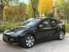 Tesla Model Y Facelift Rear-Wheel Drive - ფოტო 1
