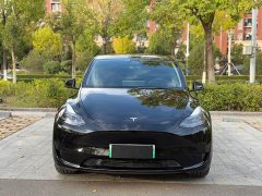 Tesla Model Y Facelift Rear-Wheel Drive - ფოტო 2