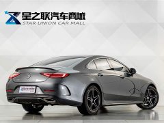 Mercedes-Benz CLS 300 Luxury - ფოტო 6