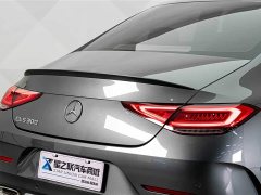 Mercedes-Benz CLS 300 Luxury - ფოტო 8