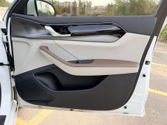 BYD Qin Plus 2024 Glory Edition EV 420KM Superior - ფოტო 13