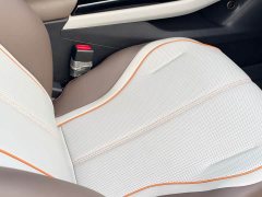 BYD Qin Plus 2024 Glory Edition EV 420KM Superior - ფოტო 14