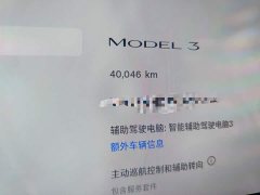 Tesla Model 3 Rear-Wheel Drive - ფოტო 8