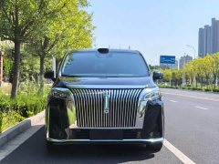 Great Wall WEY Shanshan New Energy Four-Wheel Drive Shanshan 8 - ფოტო 2