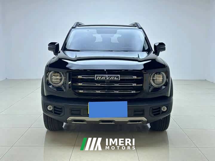 Great Wall Dachshund 2022 1.5T DCT Two-Wheel Drive Labrador Edition - ავტომობილი ჩინეთიდან