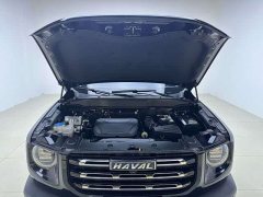 Great Wall Dachshund 2022 1.5T DCT Two-Wheel Drive Labrador Edition - ფოტო 13