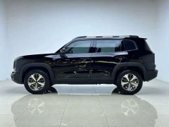 Great Wall Dachshund 2022 1.5T DCT Two-Wheel Drive Labrador Edition - ფოტო 4