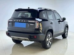 Great Wall Dachshund 2022 1.5T DCT Two-Wheel Drive Labrador Edition - ფოტო 7