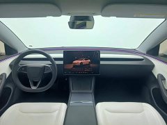 Tesla Model 3 Long Range All-Wheel Drive - ფოტო 5