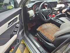 Haval Chitu 2021 Jiqing Edition 1.5T Golden Rabbit - ფოტო 12