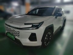 Toyota Wildland 2.0L Intelligent Hybrid Dual-Motor PRO - ფოტო 1