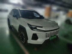 Toyota Wildland 2.0L Intelligent Hybrid Dual-Motor PRO - ფოტო 3