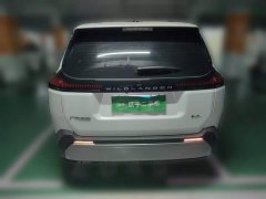 Toyota Wildland 2.0L Intelligent Hybrid Dual-Motor PRO - ფოტო 5