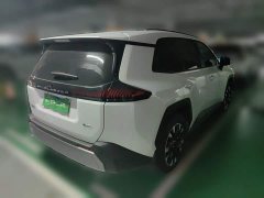 Toyota Wildland 2.0L Intelligent Hybrid Dual-Motor PRO - ფოტო 6