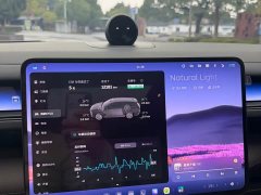 NIO ES8 Six-Seat Executive Signature Edition - ფოტო 10