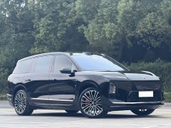 NIO ES8 Six-Seat Executive Signature Edition - ფოტო 4