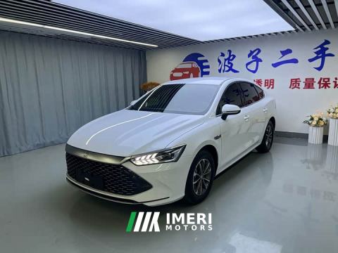 2024 BYD Qin PLUS Glory Edition DM-i 55KM Leading
