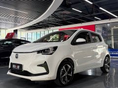 Changan Benben E-Star 2022 Shangxin Colorful Edition NMC - ფოტო 1